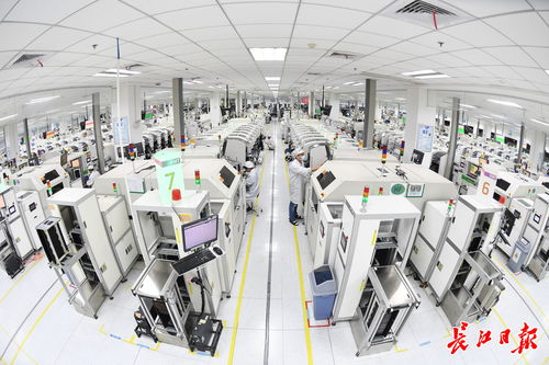 智高點，智造未來——解碼武漢智能工廠與人工智能雙創服務平臺